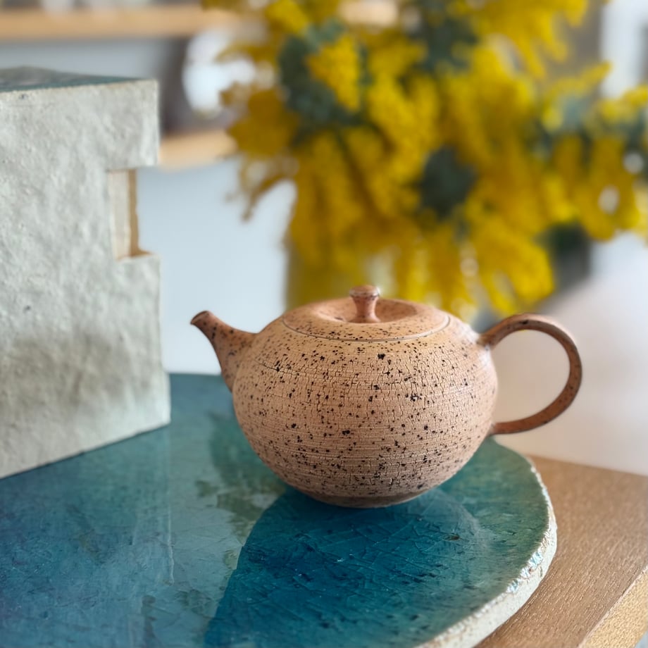 69a4e92c2440d45e9b26f927