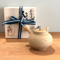 北條 Hokujo 白泥南蛮 茶注 木箱付　ST0943