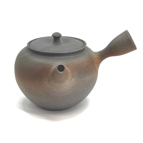 水野陽景 Yokei Mizuno  窯変焼締 カメ型茶注　ST1144