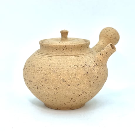 北條 Hokujo 白泥南蛮 茶注 木箱付　ST0943