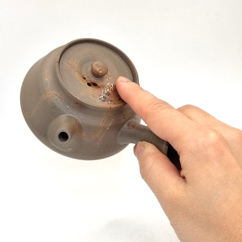 山田陶山 Tozan Yamada 藻掛け急須 ST0949 | TOKONAME ISOBE