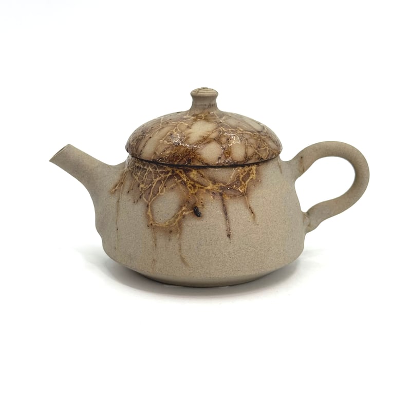 谷川仁 Hitoshi Tanikawa 炭化藻掛け 後手 急須 ST0978 | TOKON