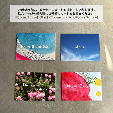 Ribbon  Pattern3(幅/5mm)