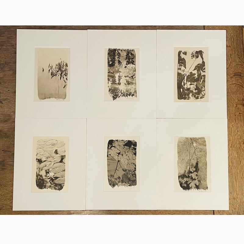 栗田紘一郎 「Fallen Leaves」 | Gallery Shimada Online