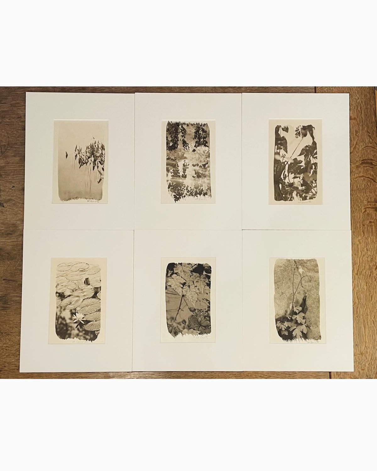 栗田紘一郎 「Fallen Leaves」 | Gallery Shimada Online