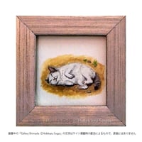 須飼秀和「寝るねこ」