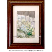 中野真典「ハタケノハナ」 | Gallery Shimada Online Store