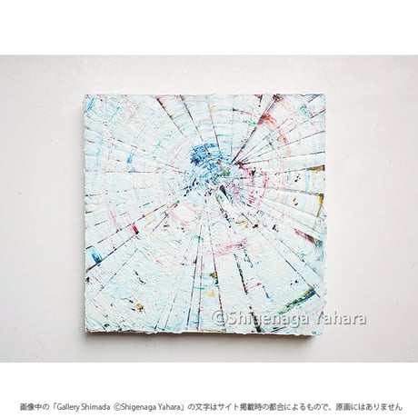 矢原繁長 「birds」2 | Gallery Shimada Online Store