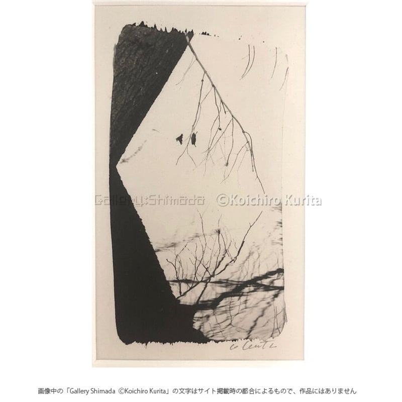 栗田紘一郎 Koichiro Kurita プラチナプリント写真 古典プリント 栗田紘一郎 Koichiro Kurita プラチナプリント写真 古典プリント 栗田