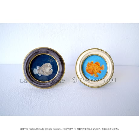 チョウチンアンコウ | STORES