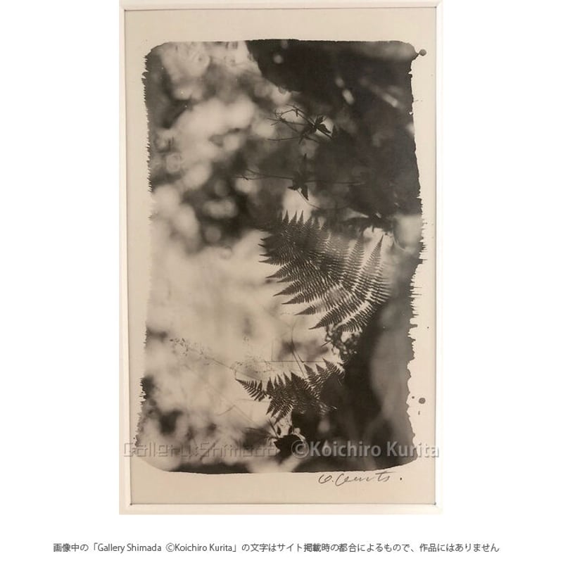 栗田紘一郎 「Reflection Ⅱ」 | Gallery Shimada Online S