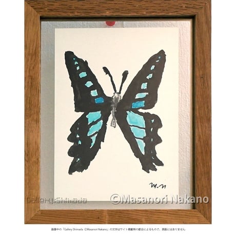 CATEGORY 中野真典 | Gallery Shimada Online Store