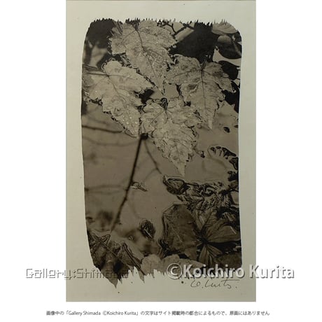 栗田紘一郎 プラチナプリント写真作品 Concord  栗田紘一郎 プラチナプリント写真作品 Concord River - メルカリ