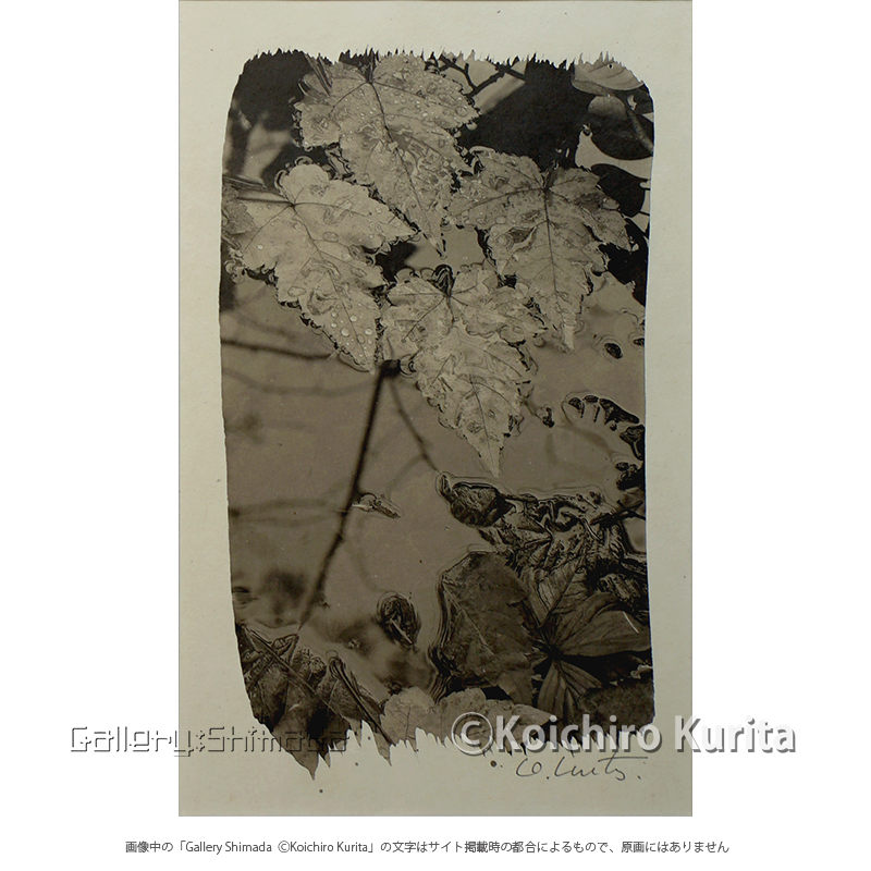 栗田紘一郎 「Fallen Leaves」 | Gallery Shimada Online
