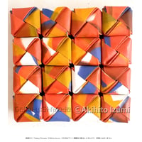 中野真典「ツマベニチョウ」 | Gallery Shimada Online Store