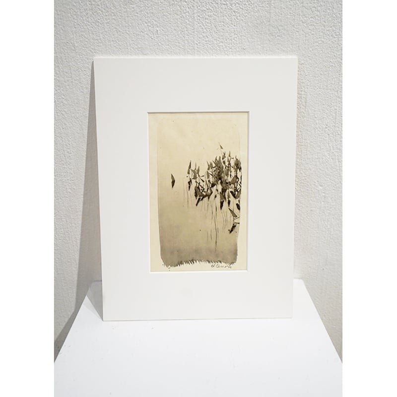 栗田紘一郎 「Wild Odamaki」 | Gallery Shimada Online S