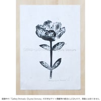 栗田紘一郎 「A STONE ON THE ROCK」 ゼラチンシルバープリント 栗田紘一郎 「Reflection Ⅱ」 | Gallery Shimada Online S