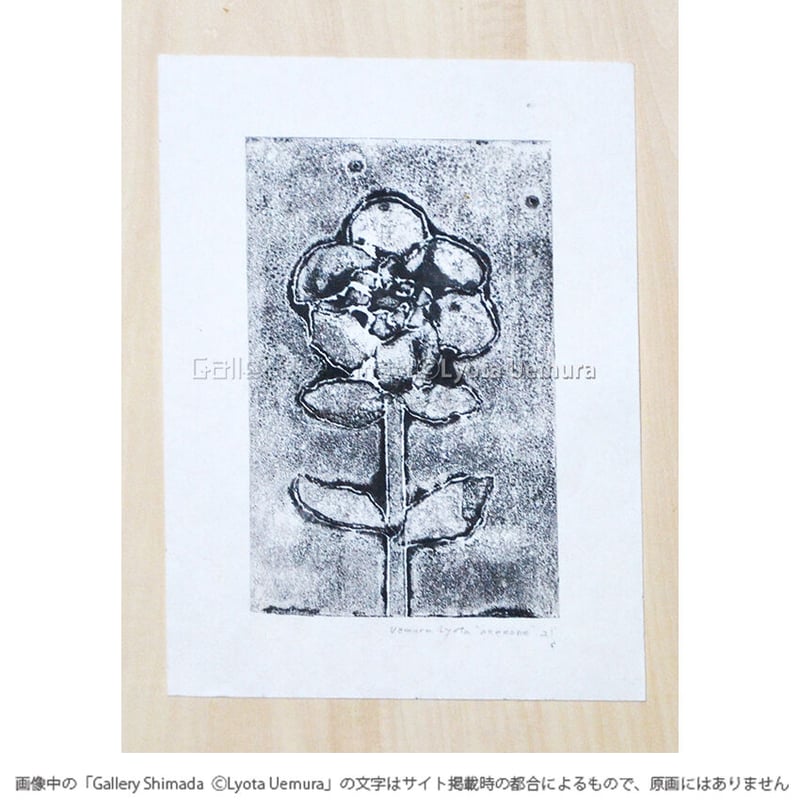 上村亮太 版画「anemone No.1」 | Gallery Shimada Online