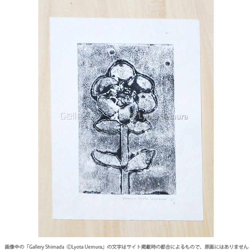 上村亮太 版画「anemone No.1」 | Gallery Shimada Online