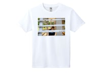 【新作】New Album「ひかり」リリース記念🌟川本真琴オリジナル・Tシャツ no.2「はろー」（送料、消費税込み）