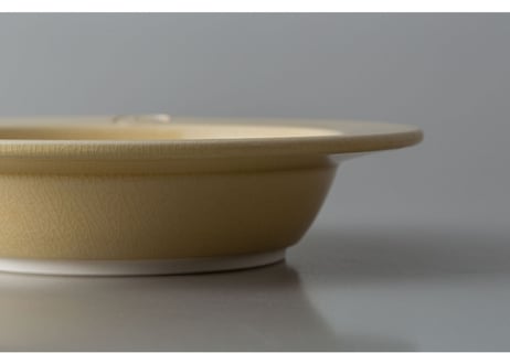 New Dinner / SOUP DISH