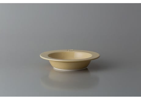 New Dinner / SOUP DISH