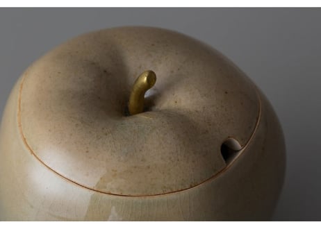 APPLES