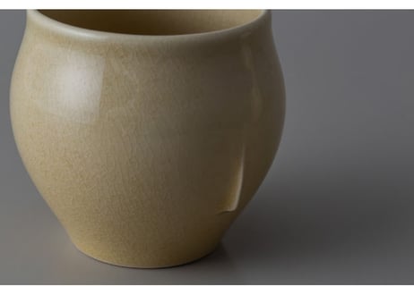 aspect(s)  Cup-type C