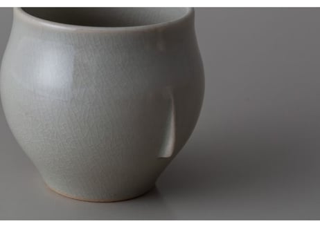 aspect(s)  Cup-type C