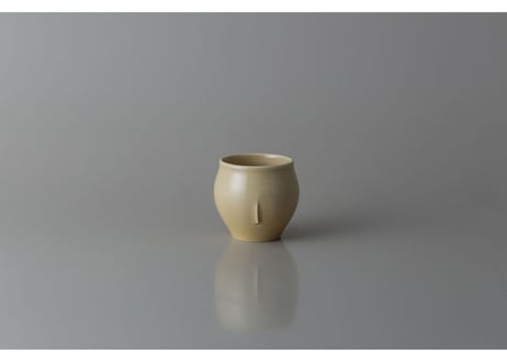 aspect(s)  Cup-type C