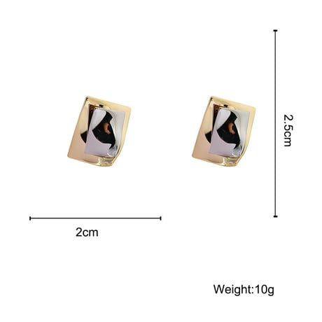 Metal Paper Bicolor Pierce/2color