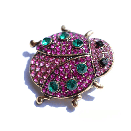 Ladybug Brooch