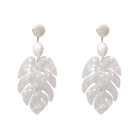 Monstera Pearl Pierce/5color