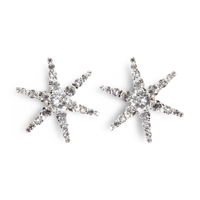 Twinkle Snow Crystal Pierce