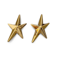 Star Studs Pierce/2color