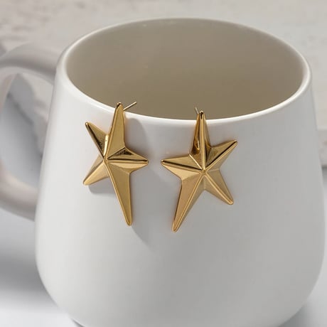 Star Studs Pierce/2color