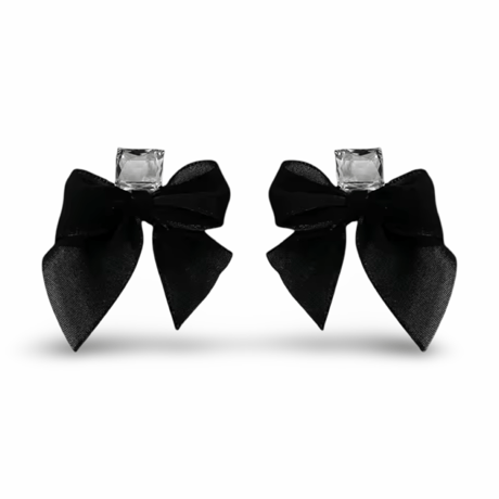 Ribbon Fabric Pierce/2color