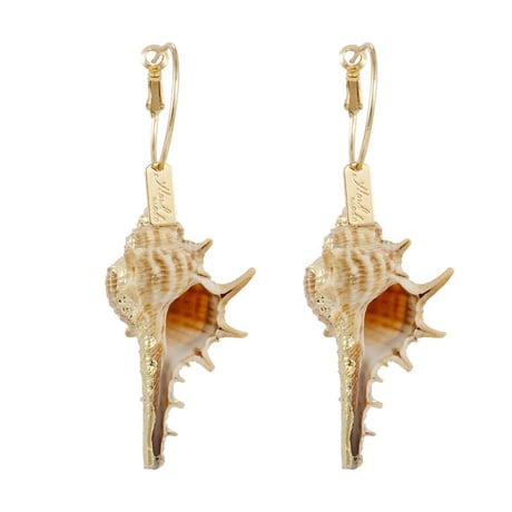 Shell  Hoop Pierce