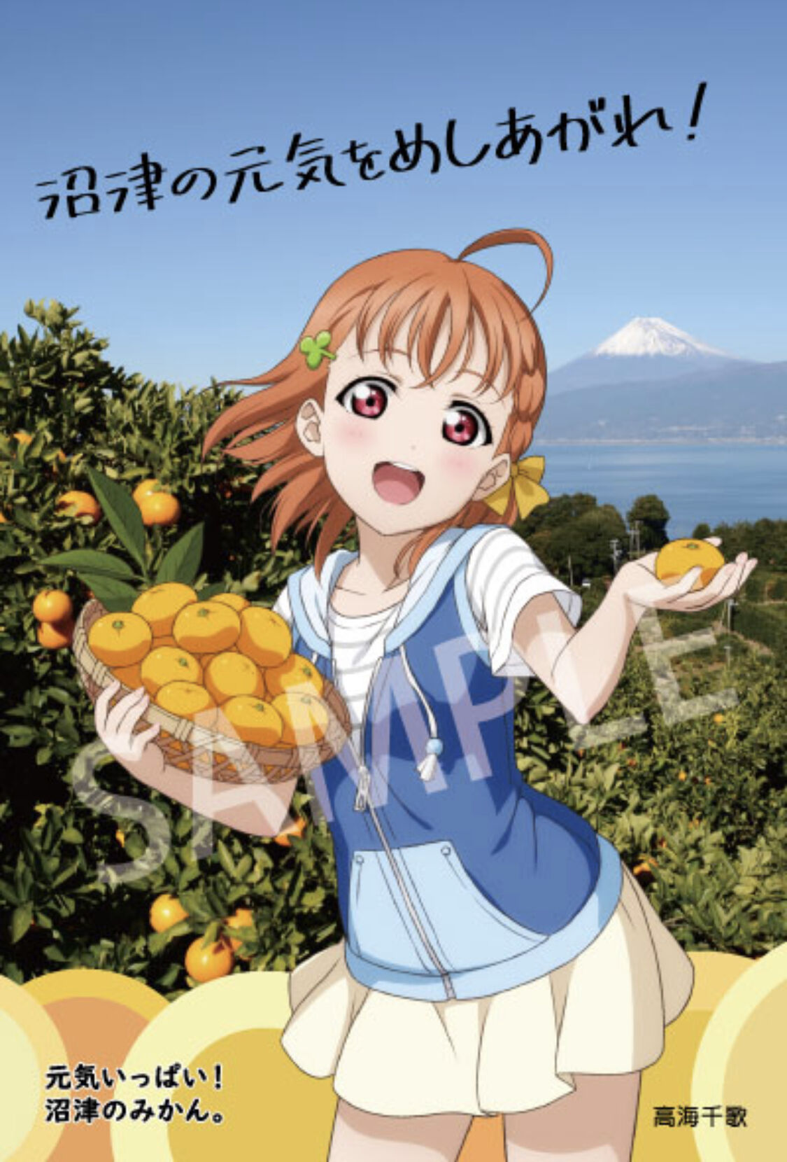 【専用、速達5点】ピンクミカンス 斑入り(安心の発根活着済み) 皆さまこんにちは☀️ 新商品のお知らせです💡 丹後由良産の安寿