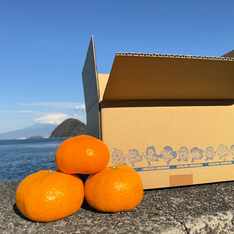 はじめみかん🍊5キロ 沼津 内浦・西浦産 | UCHIURA PRODUCE
