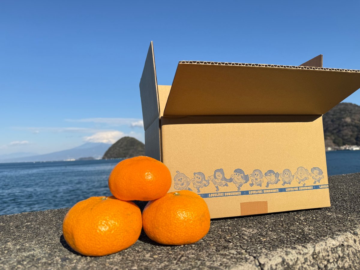 はじめみかん🍊5キロ 沼津 内浦・西浦産 | UCHIURA PRODUCE