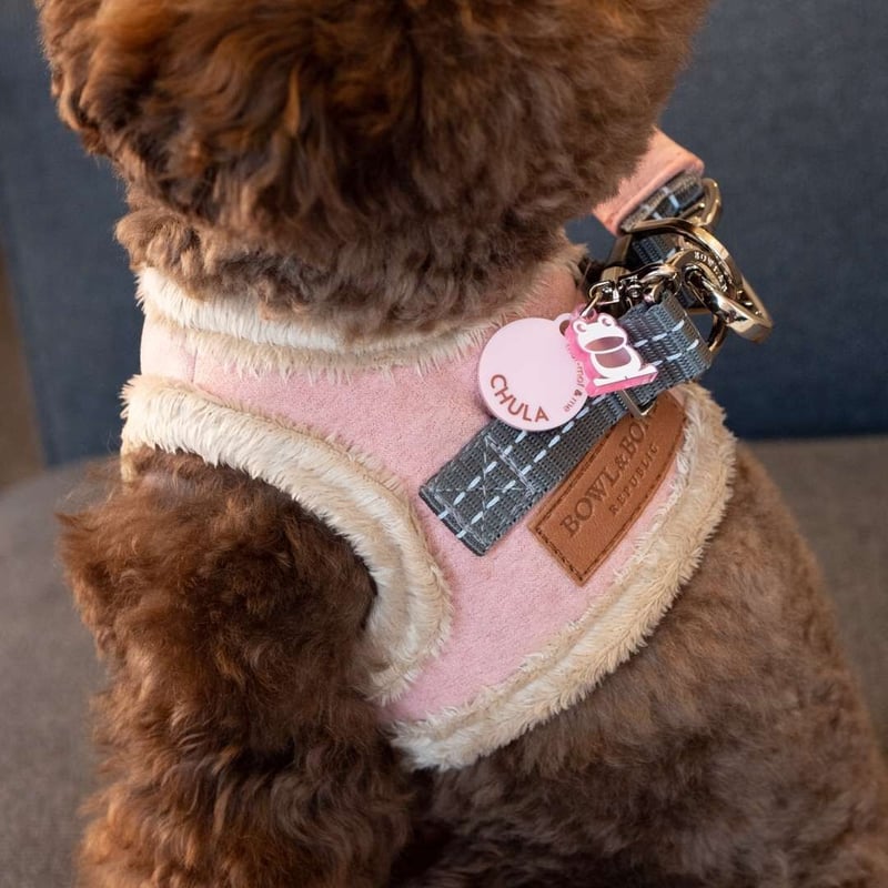 もふもふ モリワキ MORIWAKI FullExhaust SHORT MONSTER Ti 政府認証 SUPER CUB