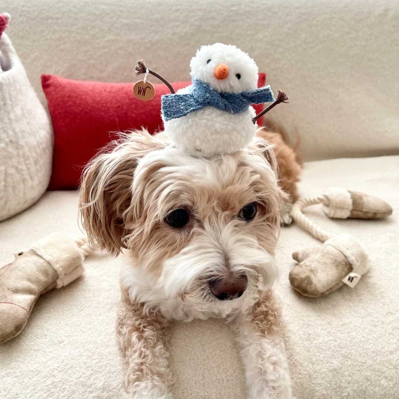 クリスマス短毛ファーシュシュ(赤シマナガエ)わんちゃん猫ちゃん用 楽天市場】フェイクファー シュシュ 赤の通販 メルモママ様専用