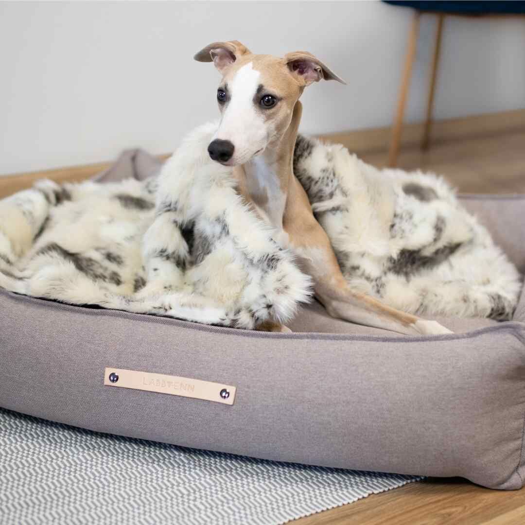 Labbvenn] エコファーブランケット (M) アイボリーグレージュ