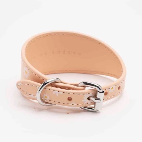 [Collar of Sweden] 首輪 ワイド デイジー