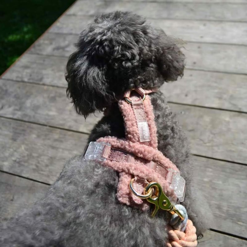 CATEGORY FURLOU | モフモフ mof_mof｜北欧デザインのペットグッズ