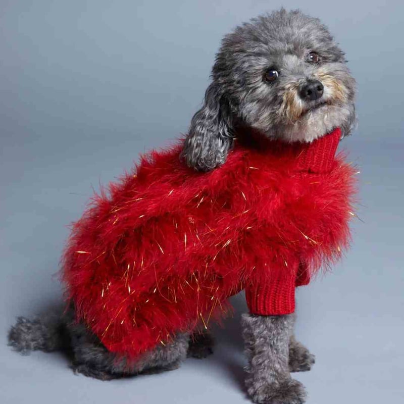 max-bone] Christian Cowan キラキラニット レッド/グリーン | モ