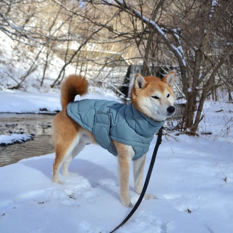[Kentucky Dogwear] 防水ソフトコート くすみブルー