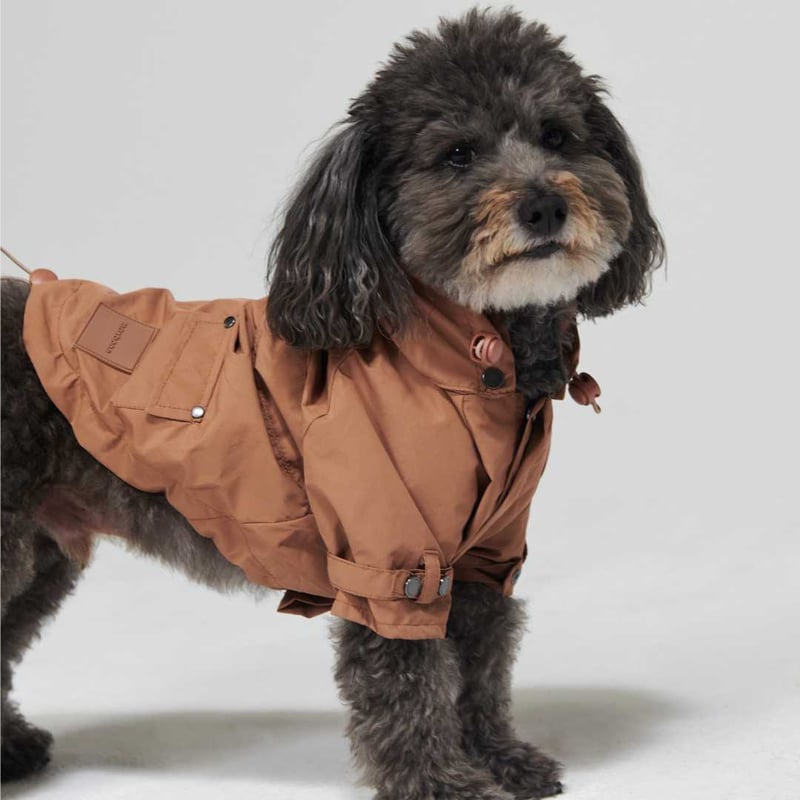 【新品】ハーネス/max-bone/ブラックSサイズ/ラグジュアリーブランド 新品】ハーネス/max-bone/ブラックSサイズ/ラグジュアリーブランド