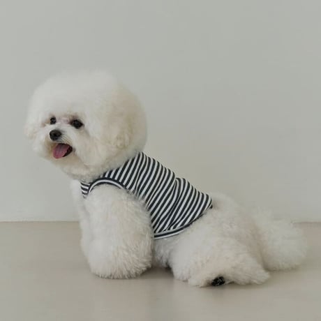 [Small Stuff]  袖なしストライプ Tシャツ ブルー/チャコール